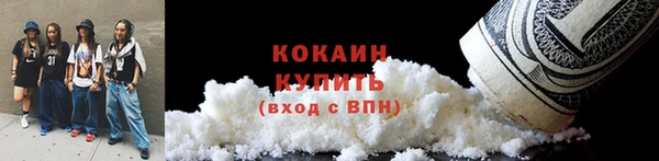гидра Белокуриха