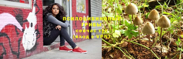 бошки Богданович