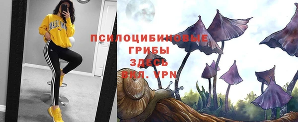 кокаин премиум Богородск