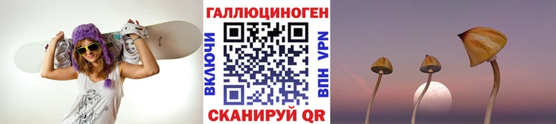 Галлюциногенные грибы Psilocybe  Котлас 
